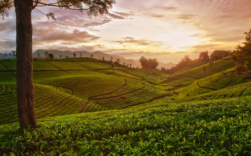 Coonoor
