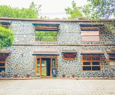The Wilder Nest