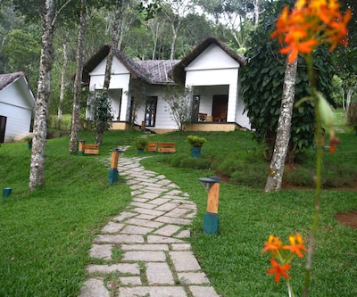 Niraamaya Retreats Cardamom Club