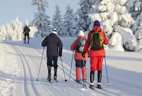 Activity-image