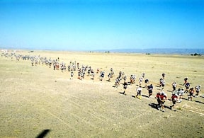 Activity-image