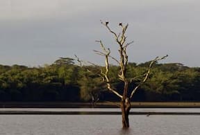 Activity-image