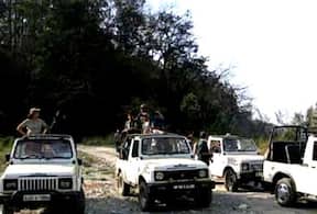 Activity-image