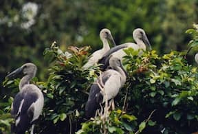 Activity-image