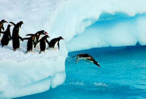 Activity-image