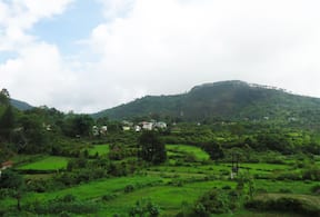 Activity-image