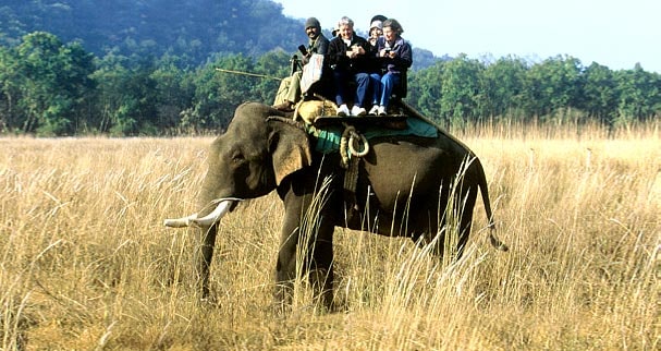 animal safari in uttaranchal