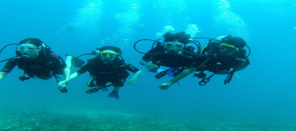 Scuba Diving In India Padi Scuba Diving Adventure Nation Scuba diving opens up an entirely new world for you. scuba diving in india padi scuba