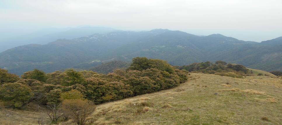 Trekking In Mussoorie Mussoorie Treks Adventure Nation Easily accessible from mussoorie, this trek can be completed over a. trekking in mussoorie mussoorie treks