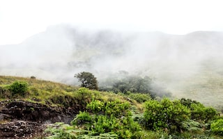 Kalavantin Durg Trek Night Trekking To Kalavantin Durg Adventure Nation I went in the monsoon season and the terrain was marshy. kalavantin durg trek night trekking
