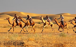 Camel Safari At Dera Dune Retreat Jamba Rajasthan Thar Desert Adventure