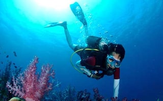 Scuba Diving At Netrani Island Murudeshwar Adventure Nation Manta scuba diving offers dive trips & packages at cabo san lucas & los cabos. scuba diving at netrani island