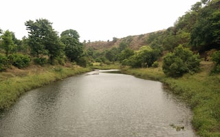 Purushwadi Fireflies Festival Maharashtra Adventure Nation Some readers might have a few years back when i shifted to mumbai i heard about the fireflies festival for the 1st time organized by. purushwadi fireflies festival