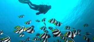 Scuba Diving At Netrani Island Murudeshwar Adventure Nation #scubadiving #scubadivinginindia #netraniisland scuba diving in india ? scuba diving at netrani island