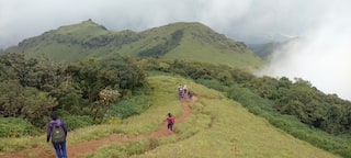 slide 8