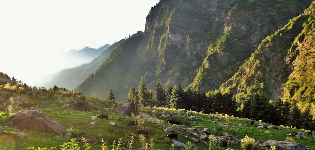 Kheerganga trek