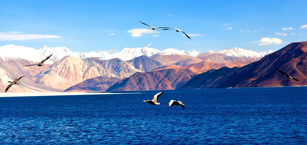 Pangong