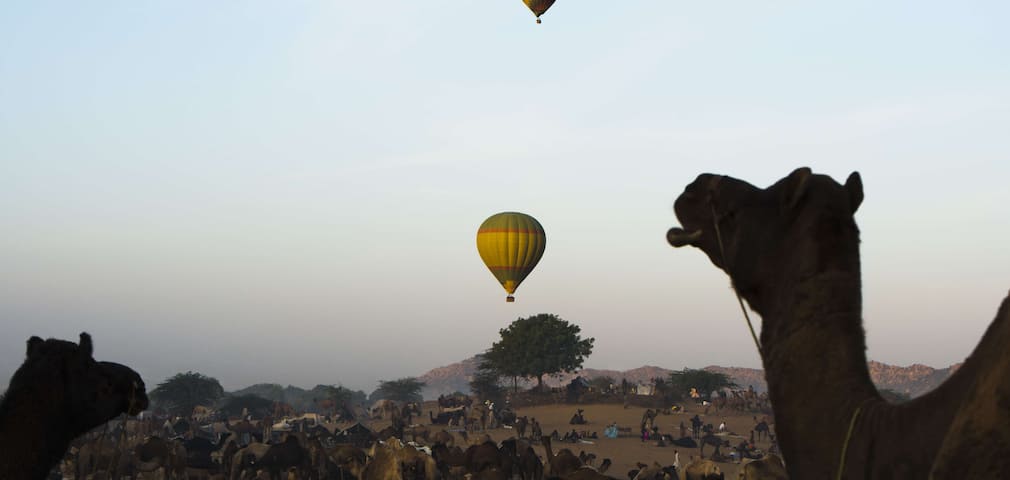 Hot Air Balloon Ride in Jaipur