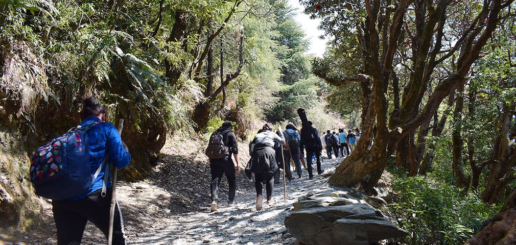 Triund Trek in Dharamshala