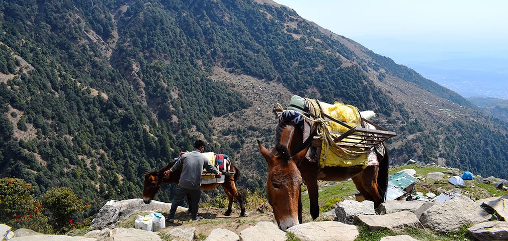 Triund Trek Views