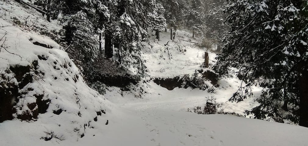 Popular Treks in Uttarakhand