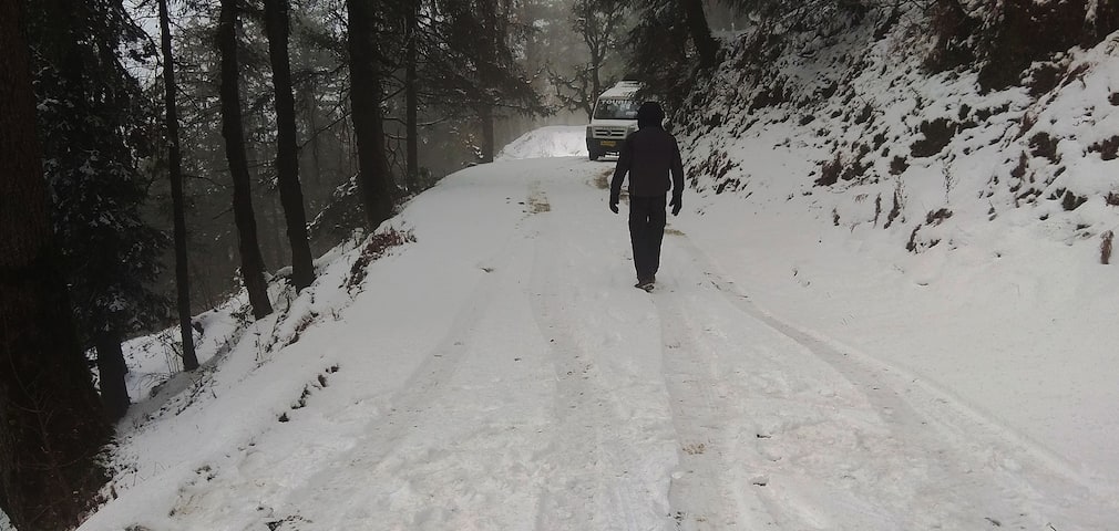 Deoban Trek near Chakrata Dehradun