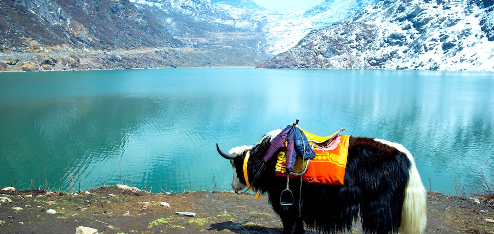 Popular Motorbike Tours in India    