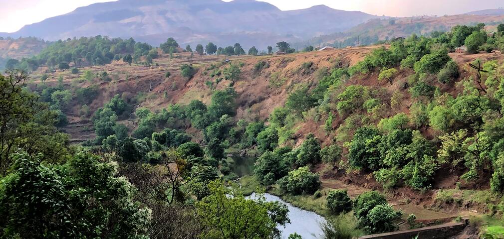 Kurungwadi Fireflies
