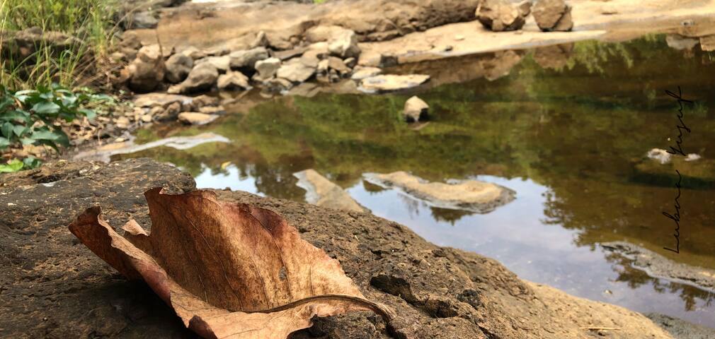 Adventure Tours near Mumbai