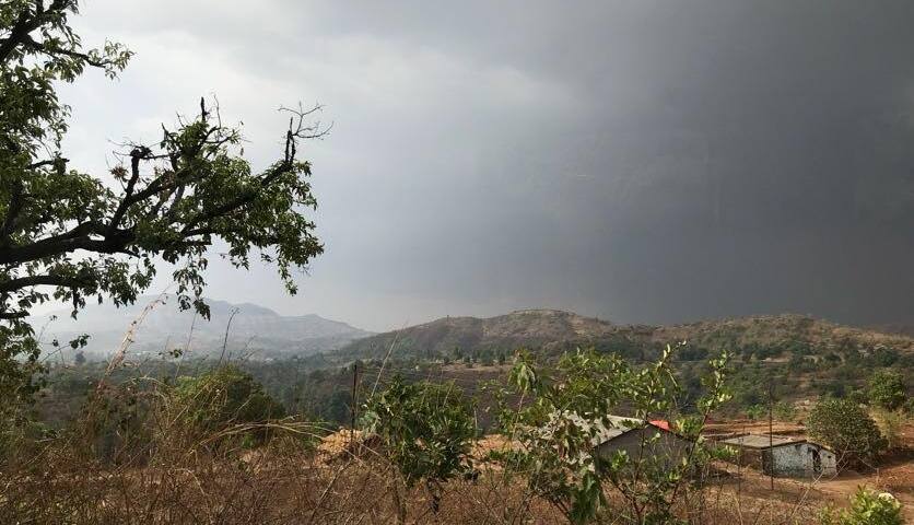 Purushwadi Fireflies Festival