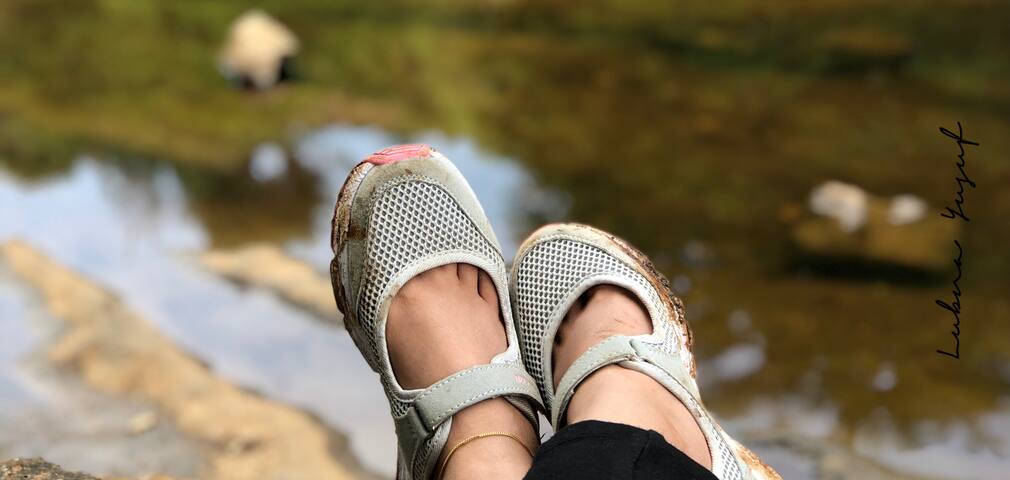 Purushwadi Fireflies Festival near Mumbai