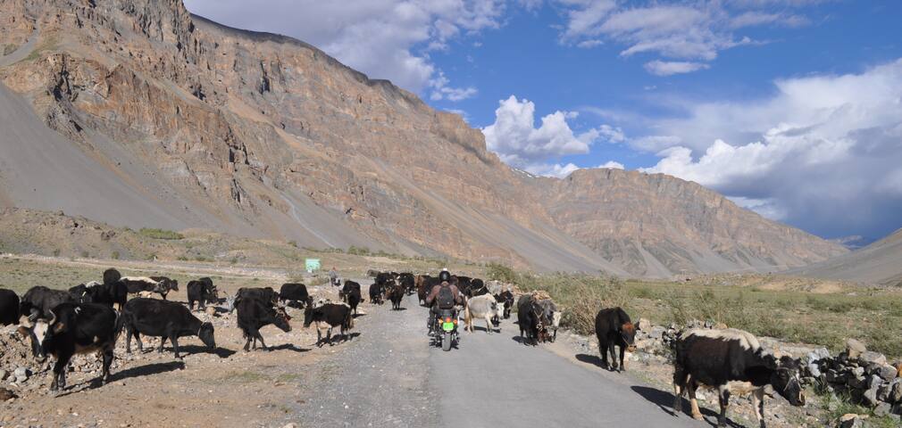 spiti bike tour
