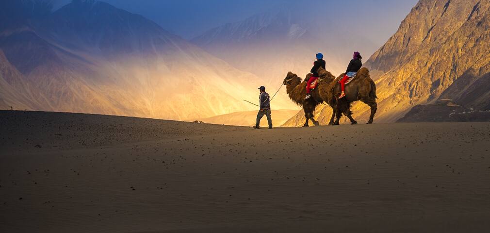 Nubra Valley in Ladakh