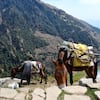 Triund Trek Views