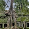Cambodia Adventure Tour