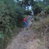 Adventure Camps in Kanatal