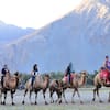Nubra Valley