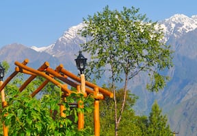 Experience Adventure at Himalayan Eco Lodge in Auli