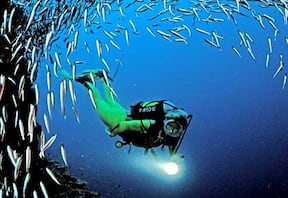 Scuba Diving in Netrani