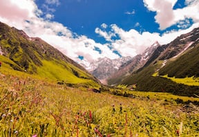 Valley of Flowers and Hemkund Sahib Trek