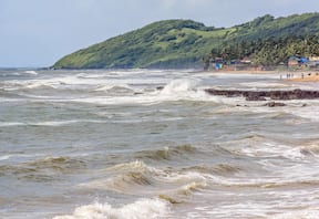 Ocean Trek to Neuti Beach in Goa