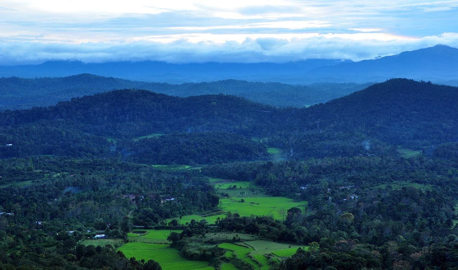 Book Hills Of South India 5n/6d tour packages, Coorg sightseeing ...