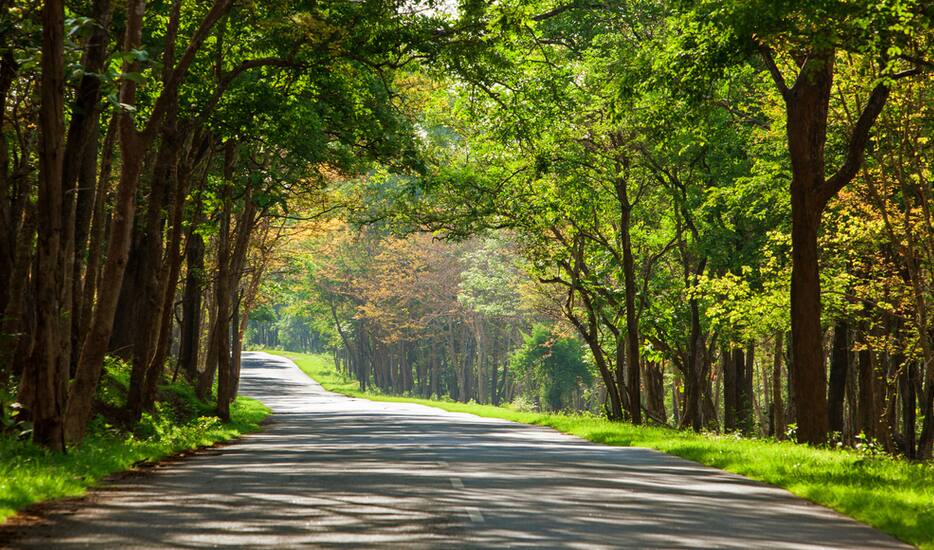 12 Best Cycling Road Trips in India You Must Take TravelDGlobe