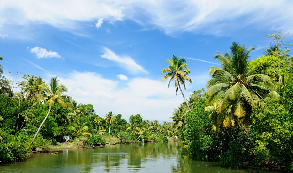 Book Incredible Kerala Deluxe tour packages, Munnar sightseeing | Yatra.com