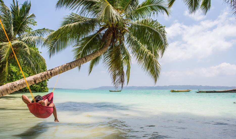 And Islands Nicobar Andaman Florida Calicut And Islands Nicobar Andaman Florida Calicut