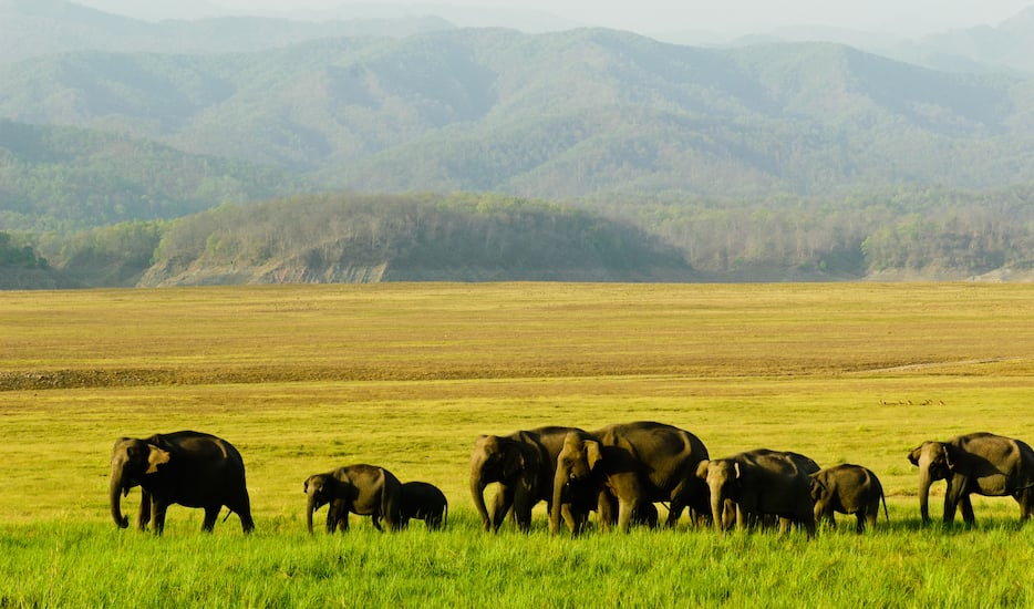 Book Amazing Nainital Jim Corbett Tour tour packages, Nainital