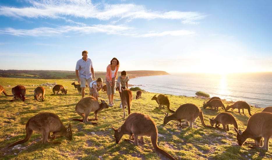 Book Best Of Land Down Under tour packages, Adelaide sightseeing