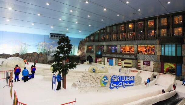 Winter Holiday Aa Convention 2022