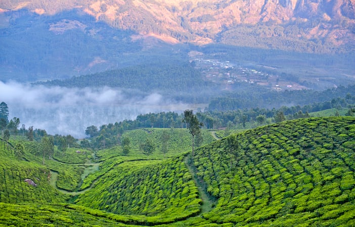 Munnar Hill Station Tours Best Hill Station In Munnar Yatra Com Places munnar travel & transportationtourist information center munnar hill station. munnar hill station tours best hill