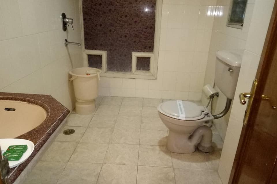 Hotel Diana Palace